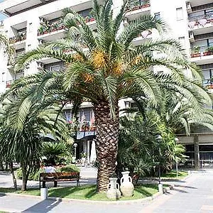 Rondo' Bari